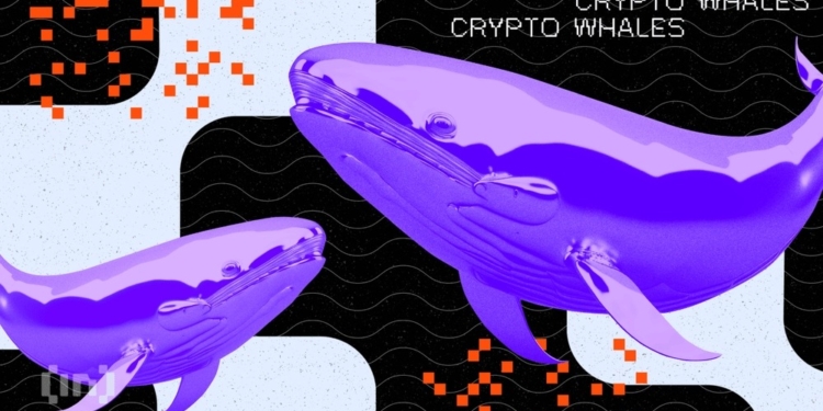 Los sorprendentes movimientos de las ballenas en Bitcoin, XRP, ETH y ADA que no puedes pasar por alto
