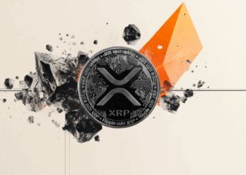 Revelaciones sobre el futuro de Cardano, Solana y Bitcoin: Impactantes pronósticos desde Asia, 14 de noviembre. 4 Revelaciones sobre el futuro de Cardano, Solana y Bitcoin: Impactantes pronósticos desde Asia, 14 de noviembre.