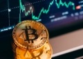 Bitcoin en la encrucijada: ¿puede sobrevivir ante la aversión al riesgo y el auge de las stablecoins? 2 Bitcoin en la encrucijada: ¿puede sobrevivir ante la aversión al riesgo y el auge de las stablecoins?