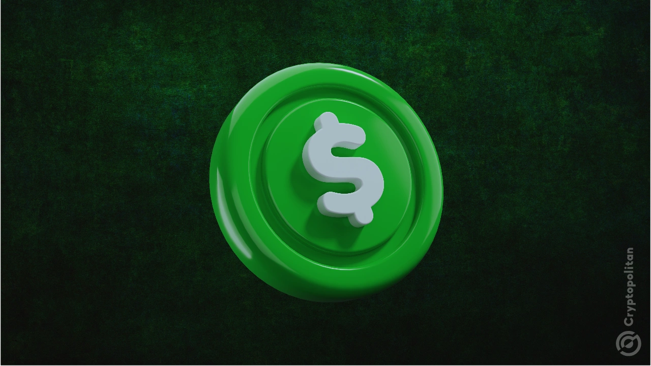 SGB lanza un servicio revolucionario para usuarios de USDC y USDT: ¡sin comisiones! 1 SGB lanza un servicio revolucionario para usuarios de USDC y USDT: ¡sin comisiones!