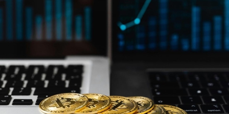 La revolución de las criptomonedas en Navarra: ¿qué cambios traerá este 2025?