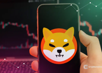 La caída brutal en la tasa de quema de SHIB despierta dudas sobre su futuro antes de fin de año