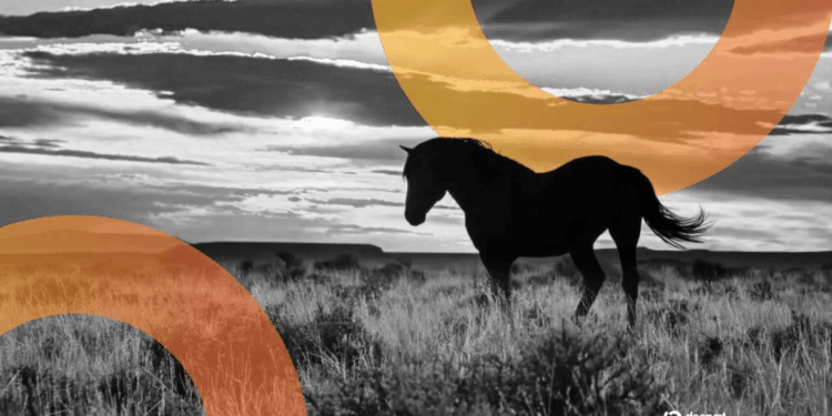 Wyoming presenta una innovadora stablecoin estatal respaldada por bonos del Tesoro y Franklin Templeton