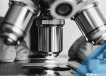 Revolución en la robótica: pequeños robots del tamaño de un grano de sal capaces de tomar decisiones por sí mismos.