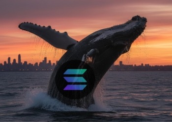 Una ballena de Solana vuelve a la vida y remueve las aguas del mercado