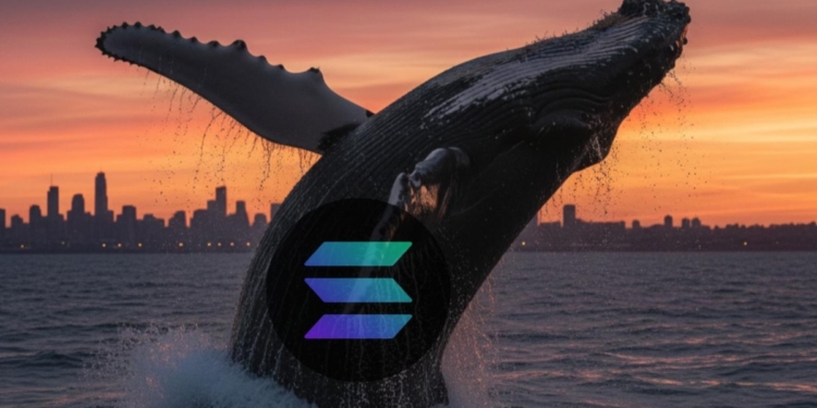Una ballena de Solana vuelve a la vida y remueve las aguas del mercado