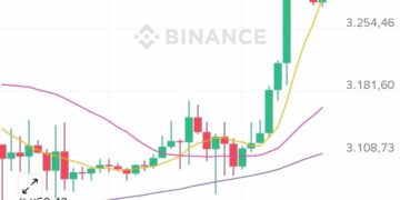 ANFELIA_INVESTMENT ofrece un vistazo intrigante a su futuro financiero
