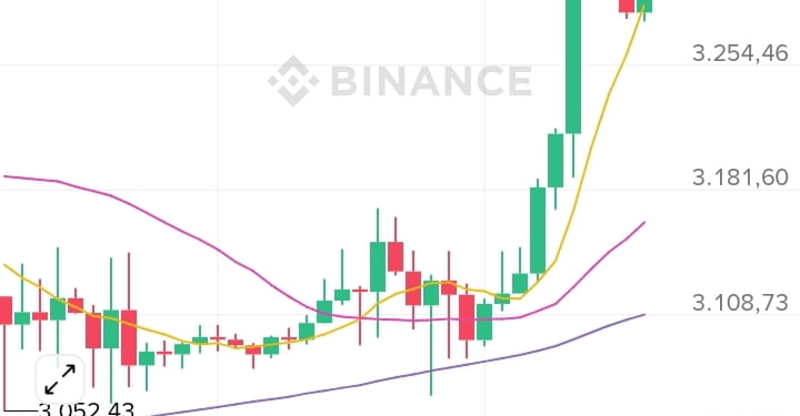ANFELIA_INVESTMENT ofrece un vistazo intrigante a su futuro financiero