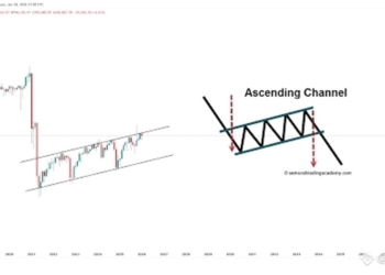 Las ballenas de BTC se lanzan al nuevo fenómeno: ¿por qué el "perrito" ha captado su atención? 🐋🦴