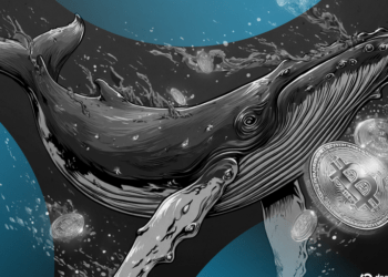 Las Ballenas de Criptomonedas se Fortalecen Mientras el Gran Público Se Aleja del Mercado