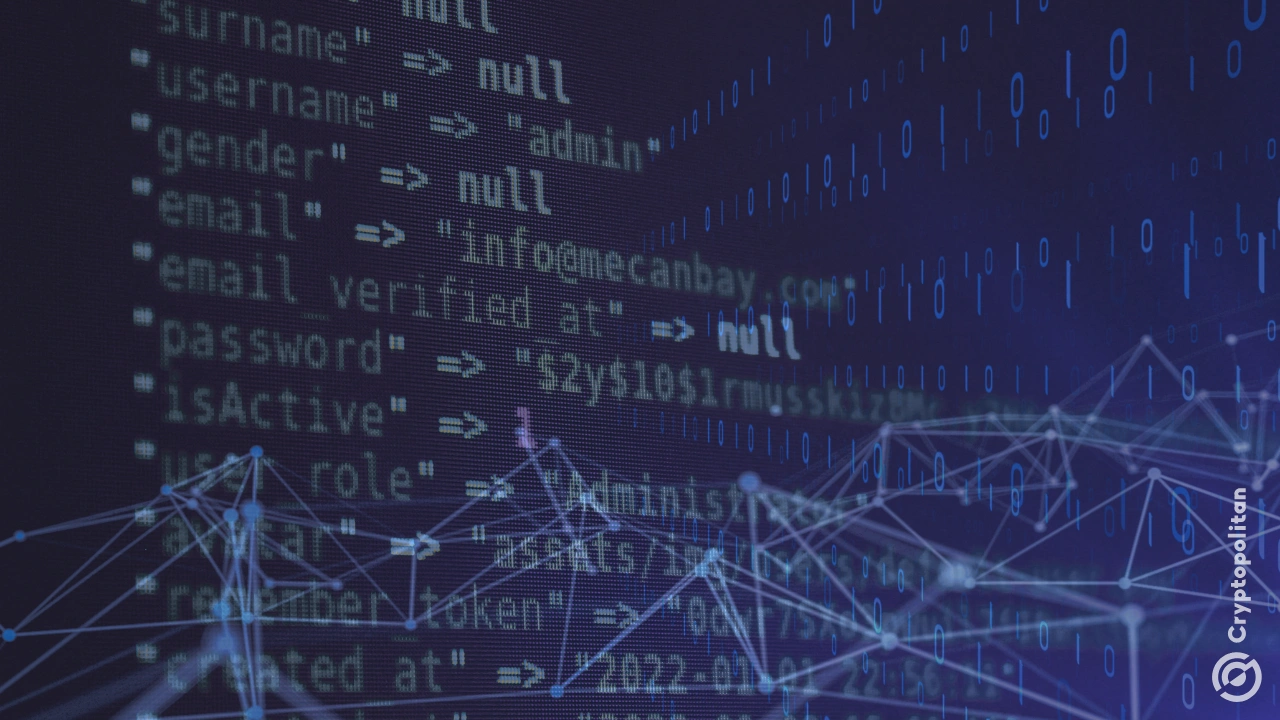 Revolución en Solana: Nuevos activos bajo el riesgo de la codificación Vibe