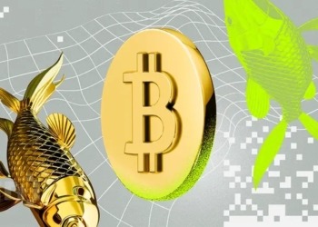 La fusión de Bitcoin y oro: la clave para un rendimiento superior y riesgos mínimos según PlanB. 4 La fusión de Bitcoin y oro: la clave para un rendimiento superior y riesgos mínimos según PlanB.