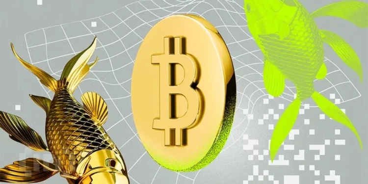La fusión de Bitcoin y oro: la clave para un rendimiento superior y riesgos mínimos según PlanB.
