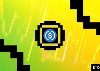 Caída de Stablecoins genera incertidumbre en el futuro del Bitcoin 5 Caída de Stablecoins genera incertidumbre en el futuro del Bitcoin