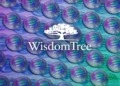 WisdomTree revoluciona el acceso a fondos tokenizados en Solana con su apuesta por el multichain 10 WisdomTree revoluciona el acceso a fondos tokenizados en Solana con su apuesta por el multichain