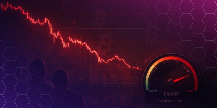 El mercado cripto se hunde: el índice de miedo toca su nivel más bajo desde diciembre 1 El mercado cripto se hunde: el índice de miedo toca su nivel más bajo desde diciembre