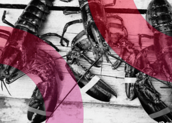 Inteligencias Artificiales Fundan una Revolucionaria Red Social y Establecen su Propia Religión de la Nada. 4 Inteligencias Artificiales Fundan una Revolucionaria Red Social y Establecen su Propia Religión de la Nada.