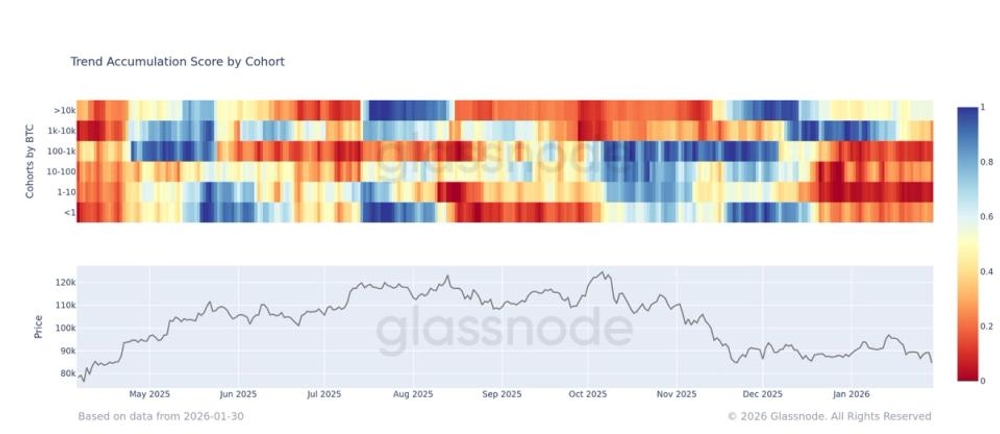 Las ballenas del bitcoin aprovechan la caída mientras el resto del mundo huye despavorido 1 Las ballenas del bitcoin aprovechan la caída mientras el resto del mundo huye despavorido