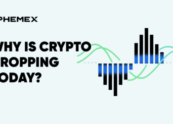 Caída dramática en las criptomonedas: ¿qué factores están agitando el mercado hoy?