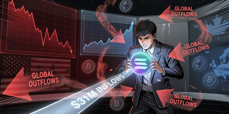 Solana desafía las tendencias del mercado: fondos recaudan 31 millones de dólares mientras el sector cripto se desangra con pérdidas de 173 millones. 1 Solana desafía las tendencias del mercado: fondos recaudan 31 millones de dólares mientras el sector cripto se desangra con pérdidas de 173 millones.