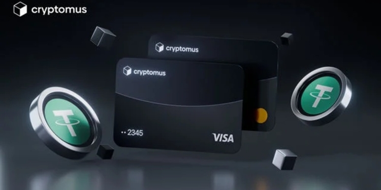 Descubre cómo utilizar tus tarjetas cripto para pagar con Bitcoin: una guía esencial para novatos.