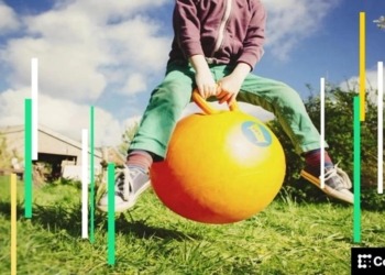 El futuro de Bitcoin: ¿Un rebote a la vista o un estancamiento del mercado?