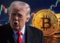 Trump, el bitcoin y el enigma de la caída a pesar del apoyo de EEUU