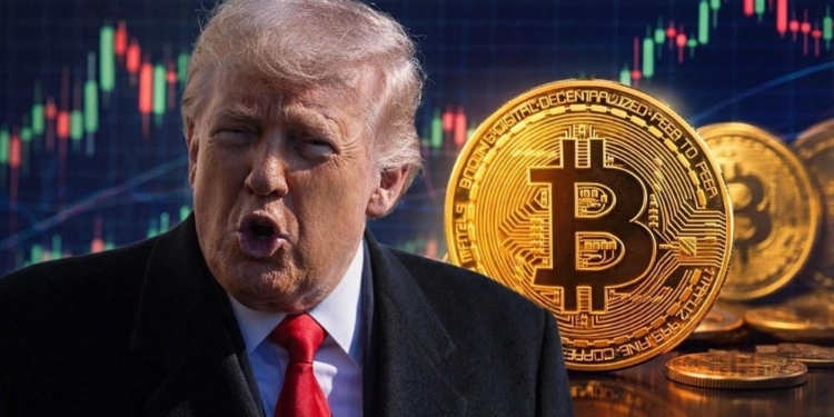 Trump, el bitcoin y el enigma de la caída a pesar del apoyo de EEUU 1 Trump, el bitcoin y el enigma de la caída a pesar del apoyo de EEUU