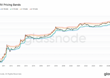 Bitcoin en peligro: ¿podría perder la mitad de su valor y caer hasta 45.000 dólares?