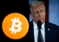 Cuando Trump habla, Bitcoin se mueve: el patrón oculto de sus subidas y caídas