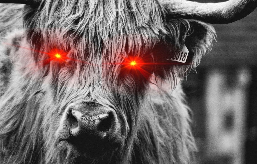 El CIO de Bitwise prevé un Bitcoin imparable: ¿Cruzará los 60.000 dólares y harán explotar a las altcoins?