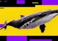 La sorprendente venta de ballenas podría intensificar la caída de Bitcoin a pesar del interés de los pequeños inversores