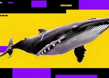 La sorprendente venta de ballenas podría intensificar la caída de Bitcoin a pesar del interés de los pequeños inversores