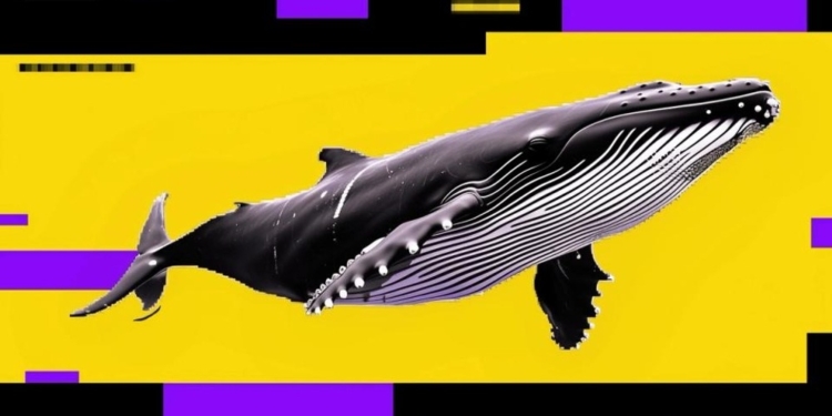 La sorprendente venta de ballenas podría intensificar la caída de Bitcoin a pesar del interés de los pequeños inversores