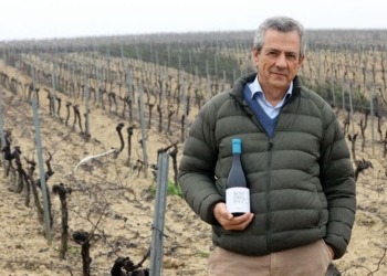 Descubriendo el legado oculto de Bohórquez Albariza: Más que vinos en Jerez