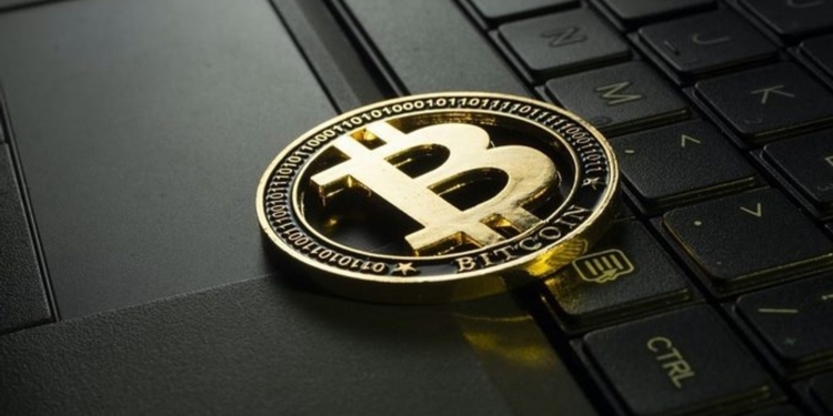 Descubre el fascinante mundo de las billeteras de Bitcoin: ¿Qué son, cómo operan y cuál es la ideal para ti? 1 Descubre el fascinante mundo de las billeteras de Bitcoin: ¿Qué son, cómo operan y cuál es la ideal para ti?