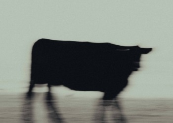 Los traders de opciones anticipan un sorprendente repunte de Bitcoin que podría superar los $80,000