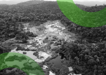 Criminales Venezuelanos Descubren Nuevas Rutas para Lavar Dinero del Oro Amazónico Usando USDT