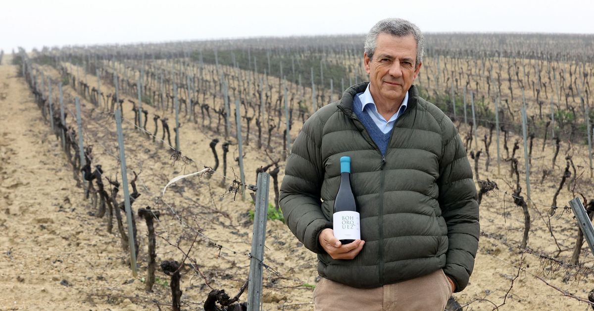 Descubriendo 'Bohórquez Albariza': El fascinante mundo que va más allá de los vinos de Jerez 1 Descubriendo 'Bohórquez Albariza': El fascinante mundo que va más allá de los vinos de Jerez