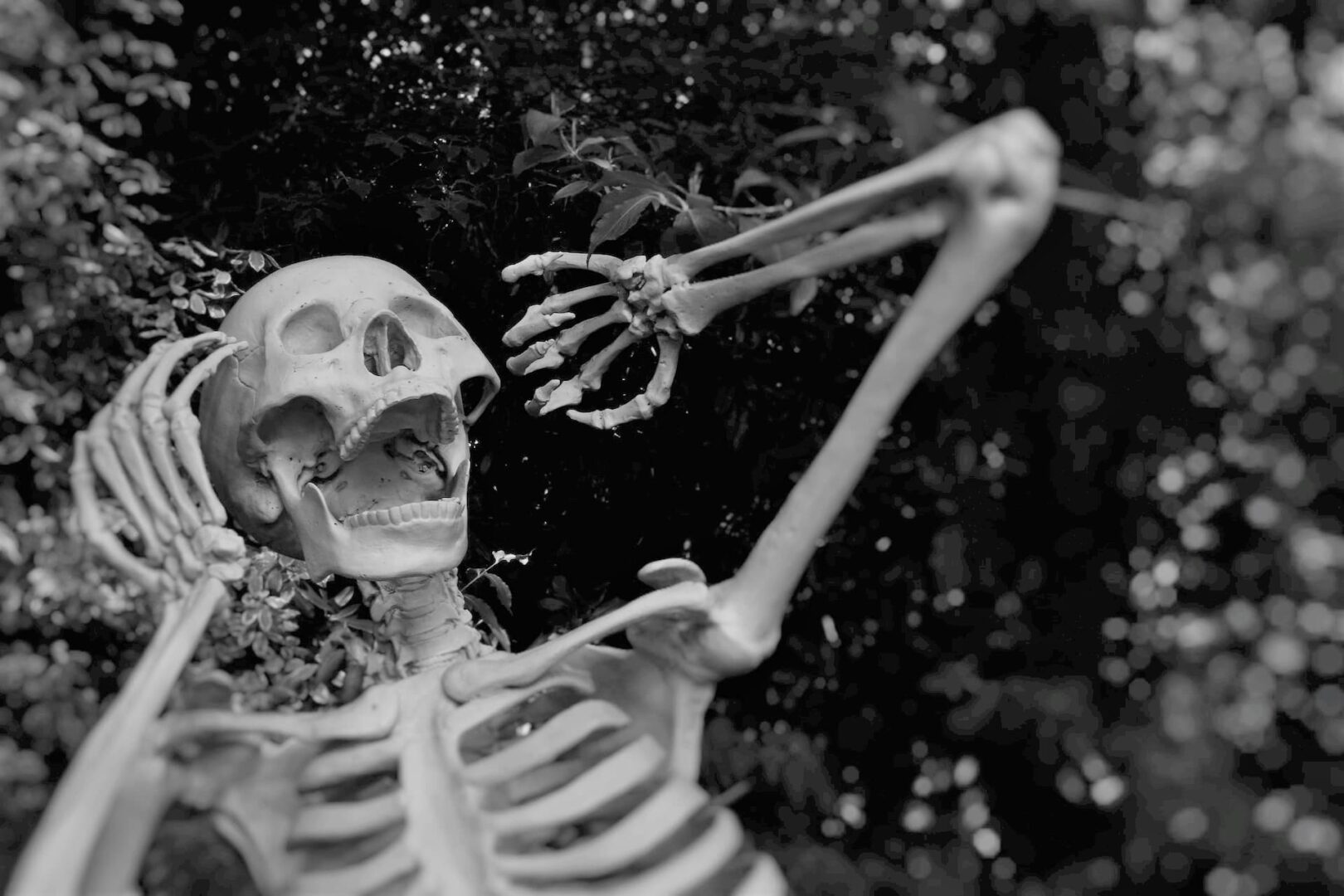 La drástica declaración de la presidenta de la Fundación Solana: el fin del gaming en Blockchain