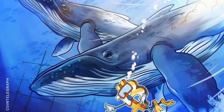 Una ballena de Hyperliquid apuesta 53 millones contra el Bitcoin: ¿deberían los traders estar alertas?