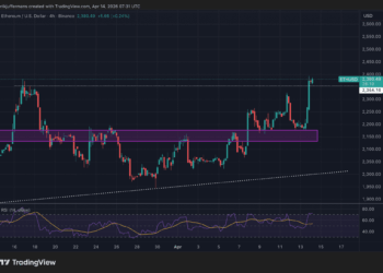 Flashcard Subject: Animal Biology Q: What are the 4 main hypotheses 4 Flashcard Subject: Animal Biology Q: What are the 4 main hypotheses