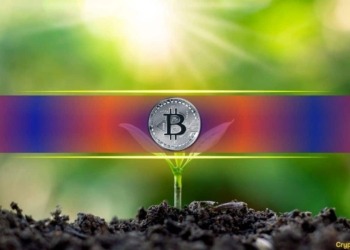 Bitcoin alcanza de nuevo los 76,000 dólares y Stellar se dispara un 7%: ¿Qué está pasando en el mercado?