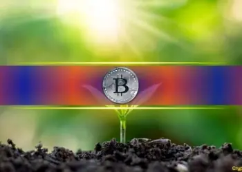 Bitcoin alcanza de nuevo los 76,000 dólares y Stellar se dispara un 7%: ¿Qué está pasando en el mercado?