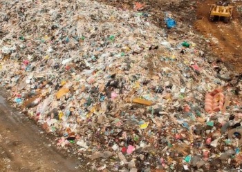 El increíble relato del hombre que desechó un disco duro con 742 millones en Bitcoin y tras 12 años de lucha se rindió a la realidad.