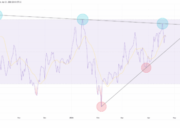 Expertos predicen un desplome inminente del precio de Bitcoin bajo ciertas condiciones sorprendentes
