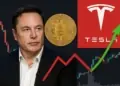 El impacto de Bitcoin en Tesla que sorprendió a Wall Street.