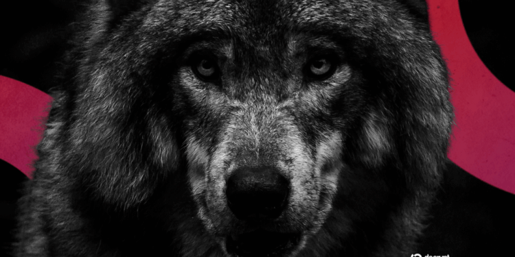 Un Hombre Arrestado en Corea del Sur por una Foto de un Lobo Generada por IA que Desató un Gran Dispositivo de Emergencia