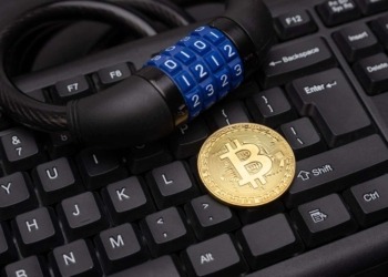 El inesperado destino del bitcoin: ¿será 2029 su última oportunidad? 4 El inesperado destino del bitcoin: ¿será 2029 su última oportunidad?