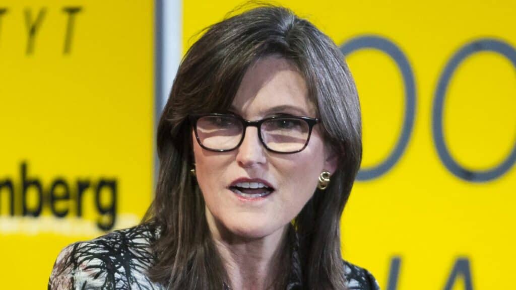 Cathie Wood: ¿por qué los desplomes del 85% en Bitcoin ya no volverán? 1 Cathie Wood: ¿por qué los desplomes del 85% en Bitcoin ya no volverán?